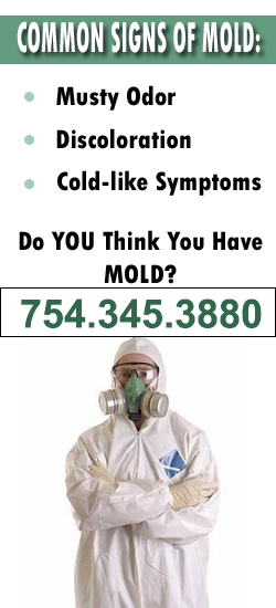 Fort Lauderdale Mold Remediation Contractor