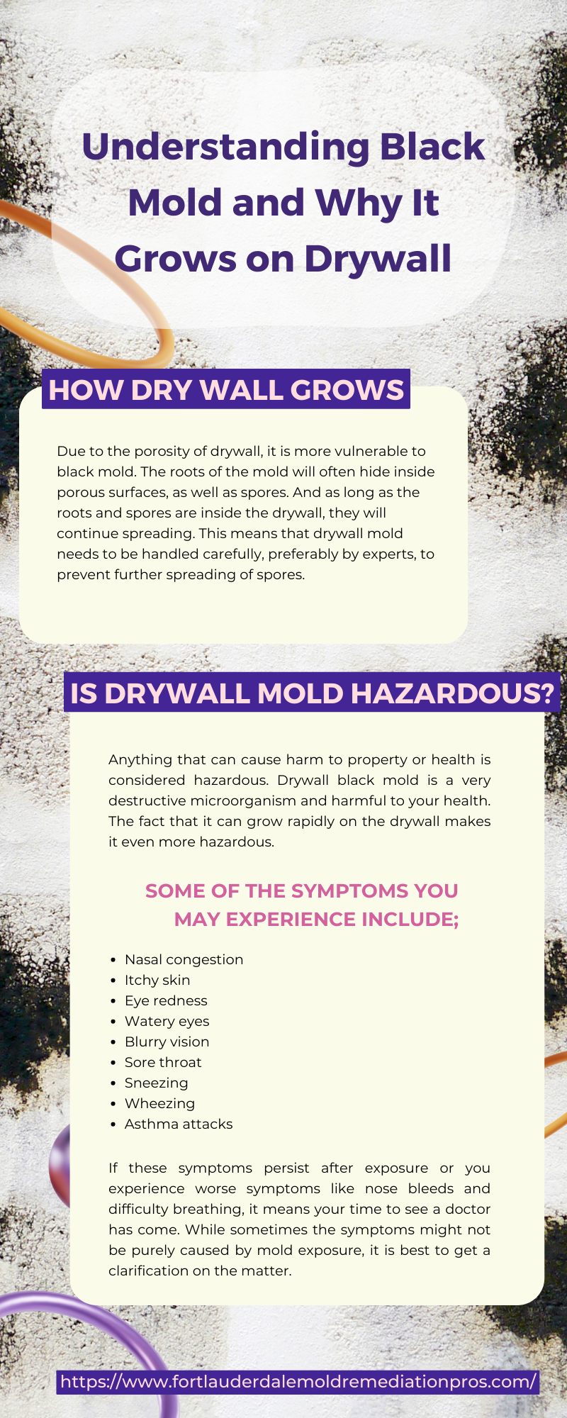 Understanding Black Mold and Why It Grows on Drywall